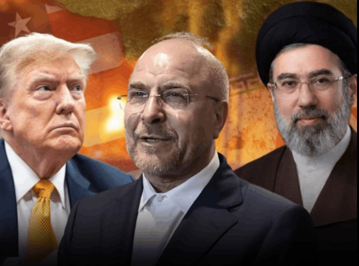 قاليبا مرشج ترامب لقيادة إيران.. يرد&nbsp; &nbsp;علية "تسقط أمريكا"